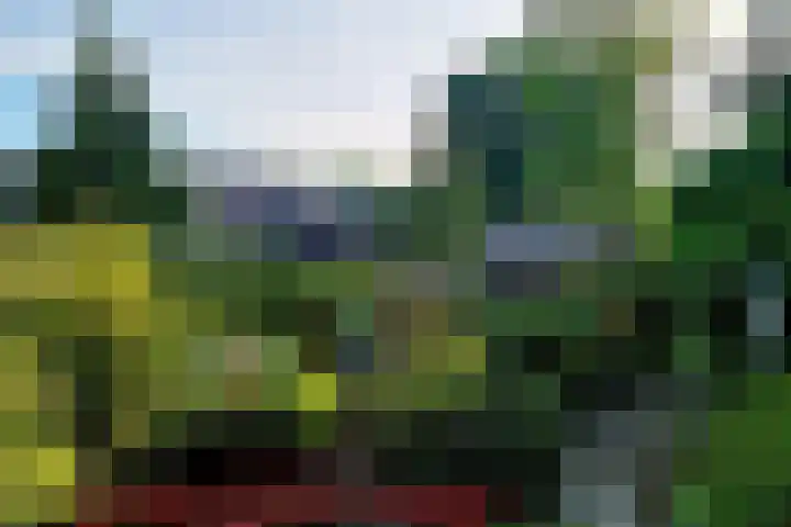 Vierschotenweg 5 't Loo Oldebroek thumbnail 76