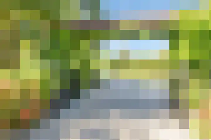 Vierschotenweg 5 't Loo Oldebroek thumbnail 77