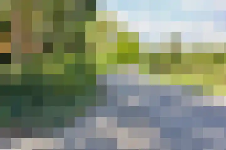 Vierschotenweg 5 't Loo Oldebroek thumbnail 78
