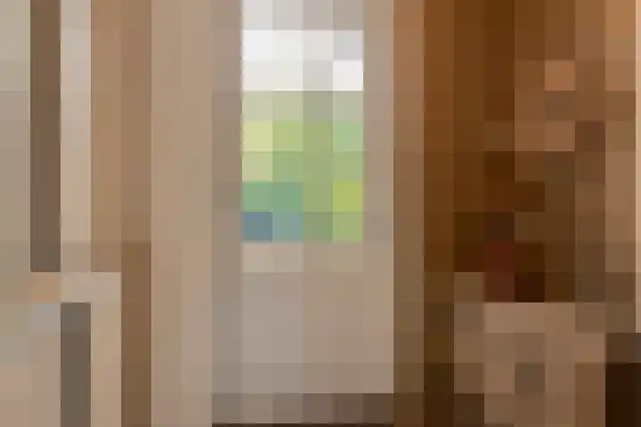 Vierschotenweg 5 't Loo Oldebroek thumbnail 8
