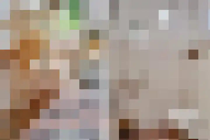 Vierschotenweg 5 't Loo Oldebroek thumbnail 9