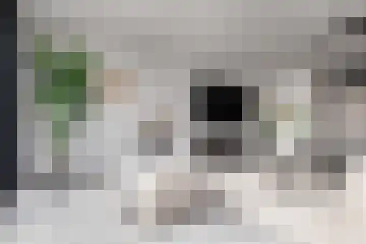 Viersepoort 17 Nieuw-Vennep thumbnail 10