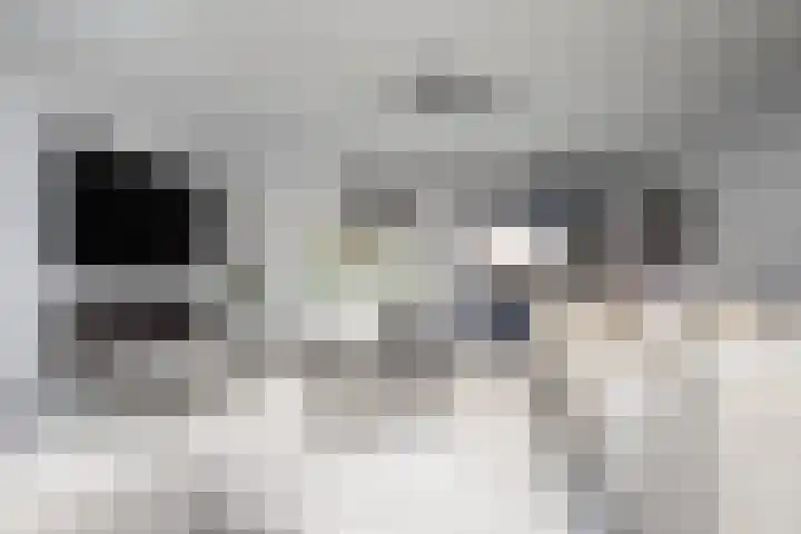 Viersepoort 17 Nieuw-Vennep thumbnail 14