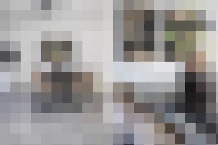 Viersepoort 17 Nieuw-Vennep thumbnail 17