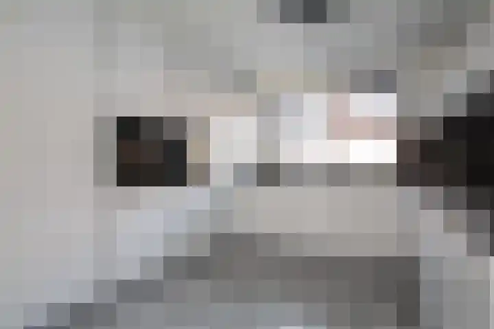 Viersepoort 17 Nieuw-Vennep thumbnail 19