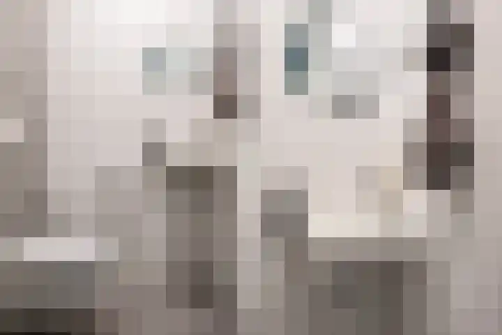 Viersepoort 17 Nieuw-Vennep thumbnail 21
