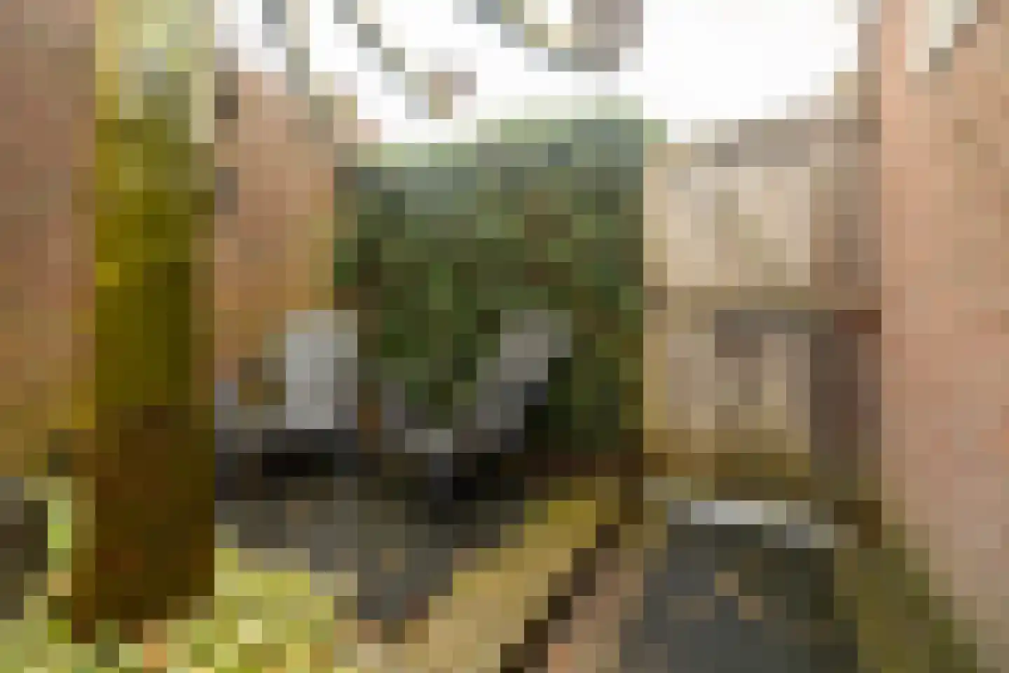 Viersloot 57 Blaricum thumbnail 27