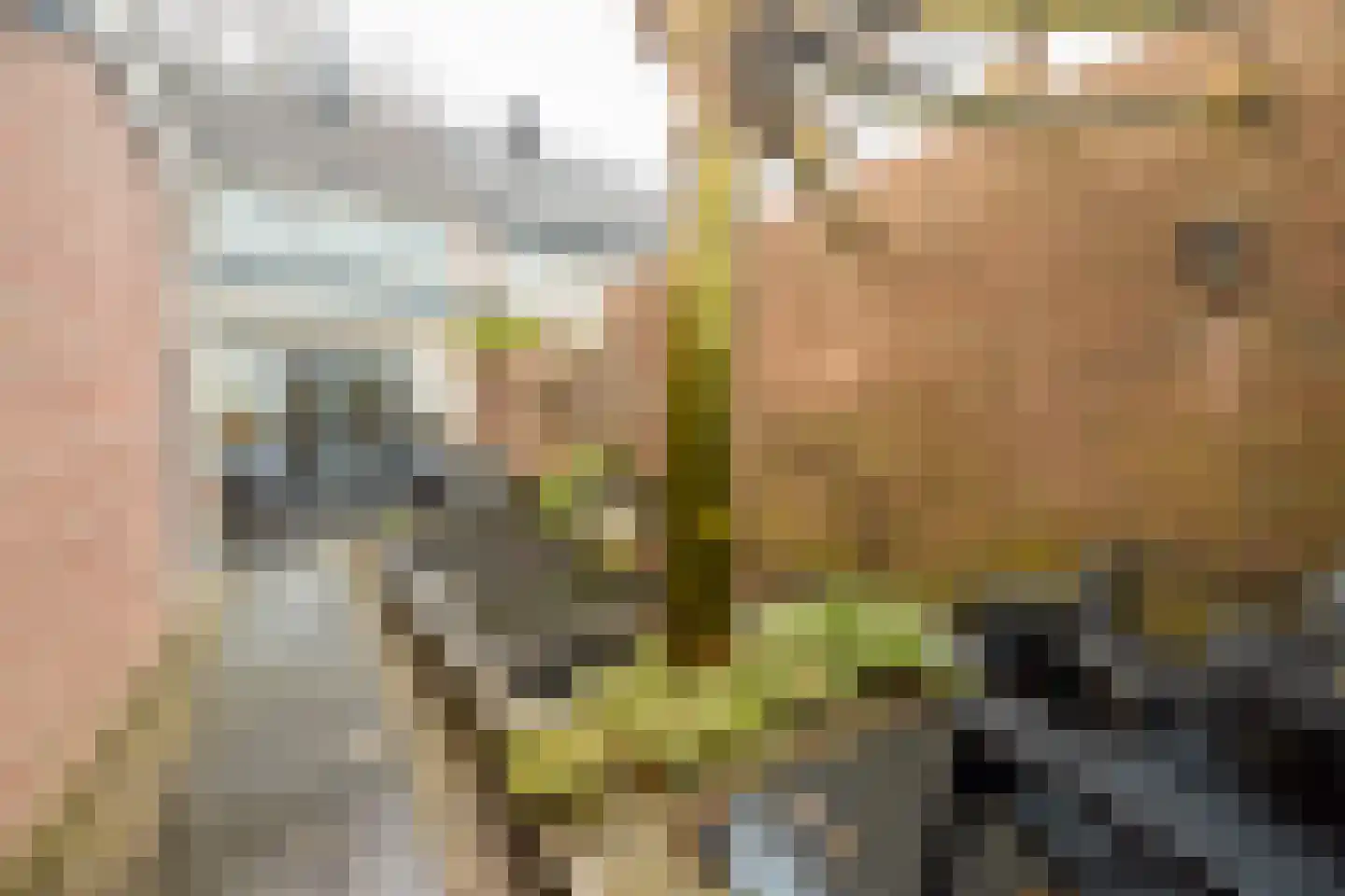 Viersloot 57 Blaricum thumbnail 28