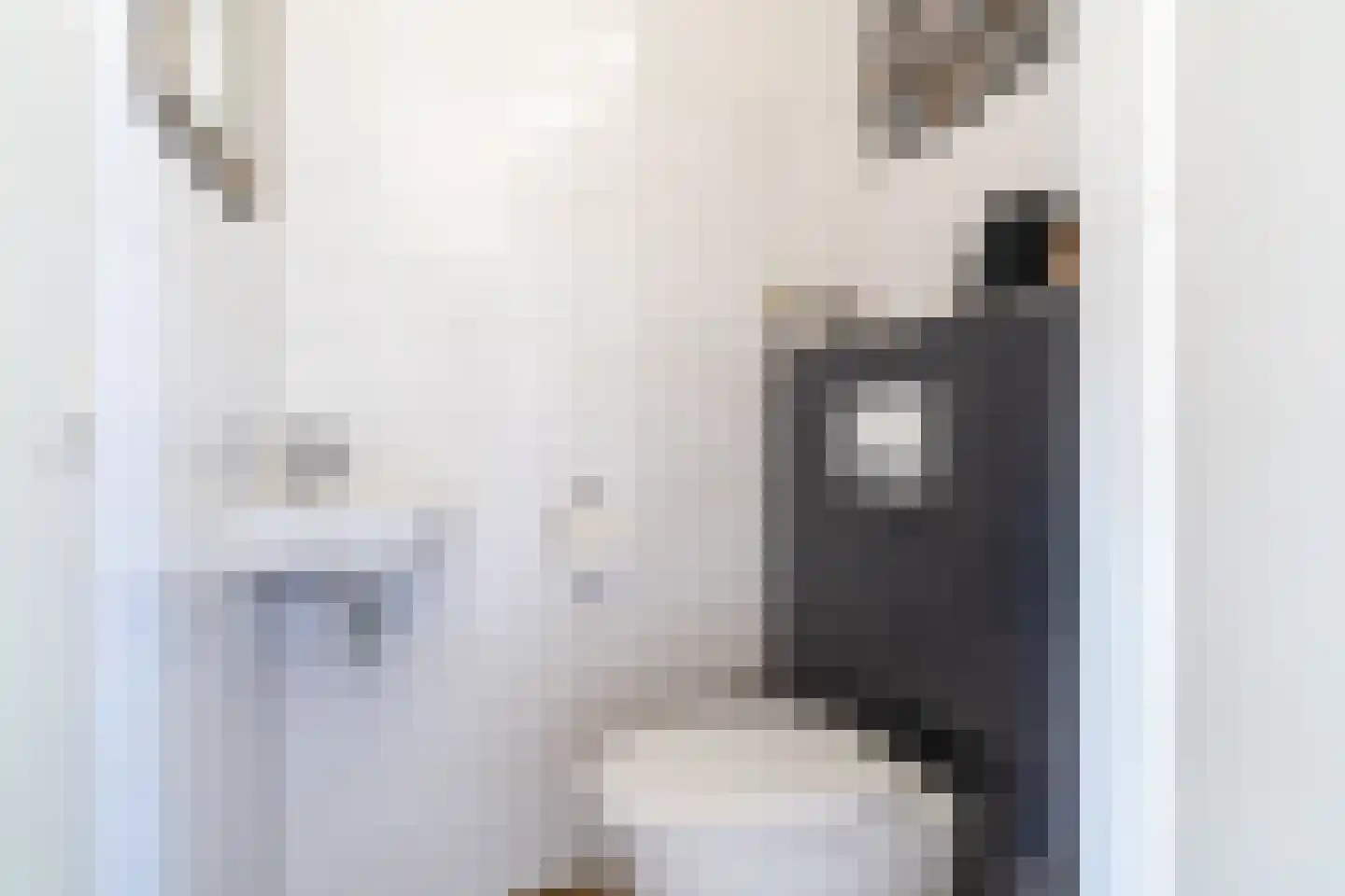 Vierspan 1 Almkerk thumbnail 7