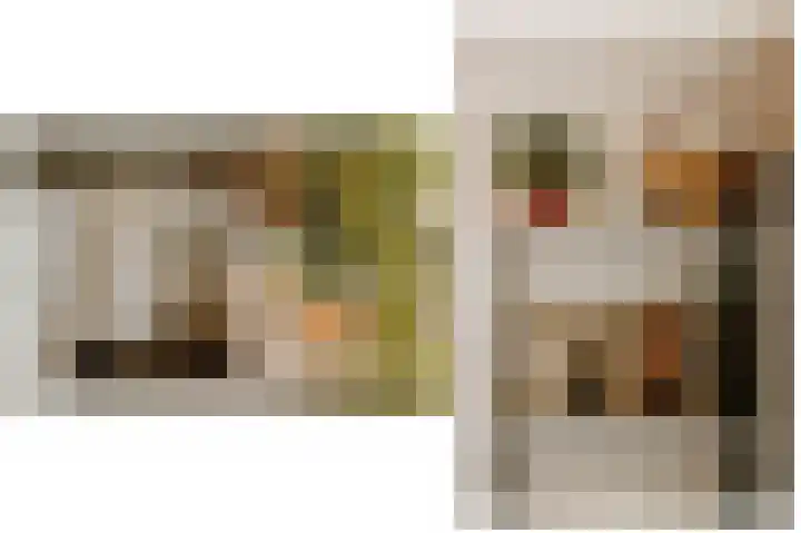 Vierspan 6 Almkerk thumbnail 11