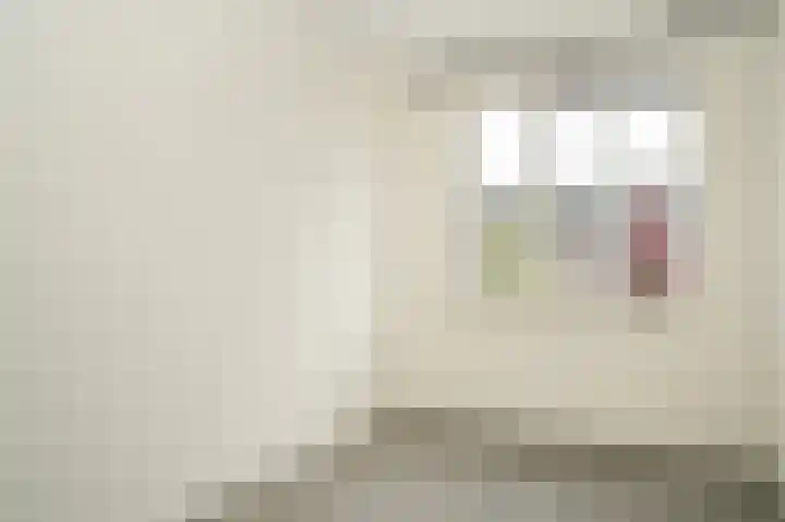 Vierspan 6 Almkerk thumbnail 23