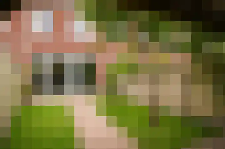 Vierspan 6 Almkerk thumbnail 28
