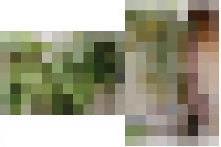 Vierspan 6 Almkerk thumbnail 29