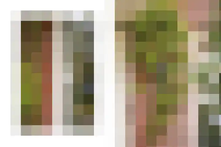 Vierspan 6 Almkerk thumbnail 35
