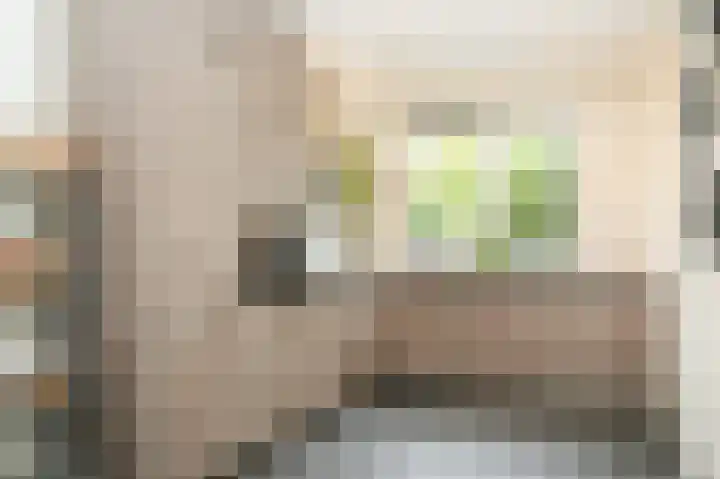 Vierspan 6 Almkerk thumbnail 7