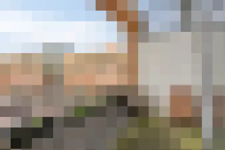 Vierwiekenplein 11 Oud-Beijerland thumbnail 15