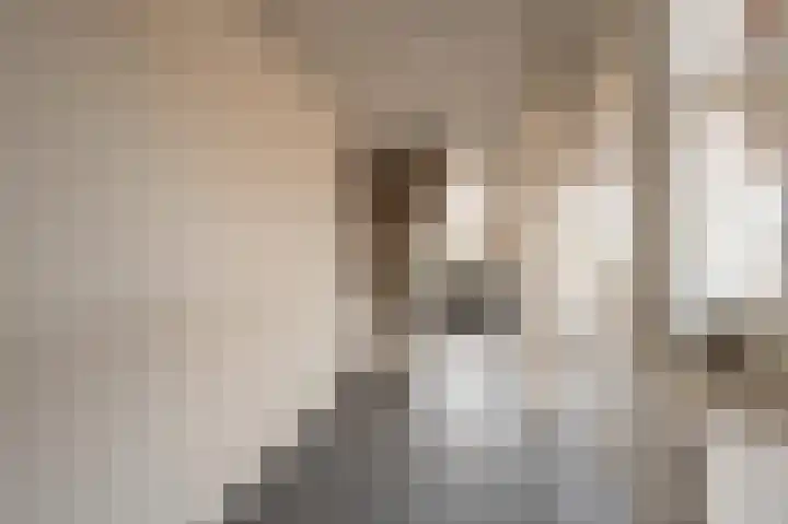 Vierwiekenplein 5 Oud-Beijerland thumbnail 37