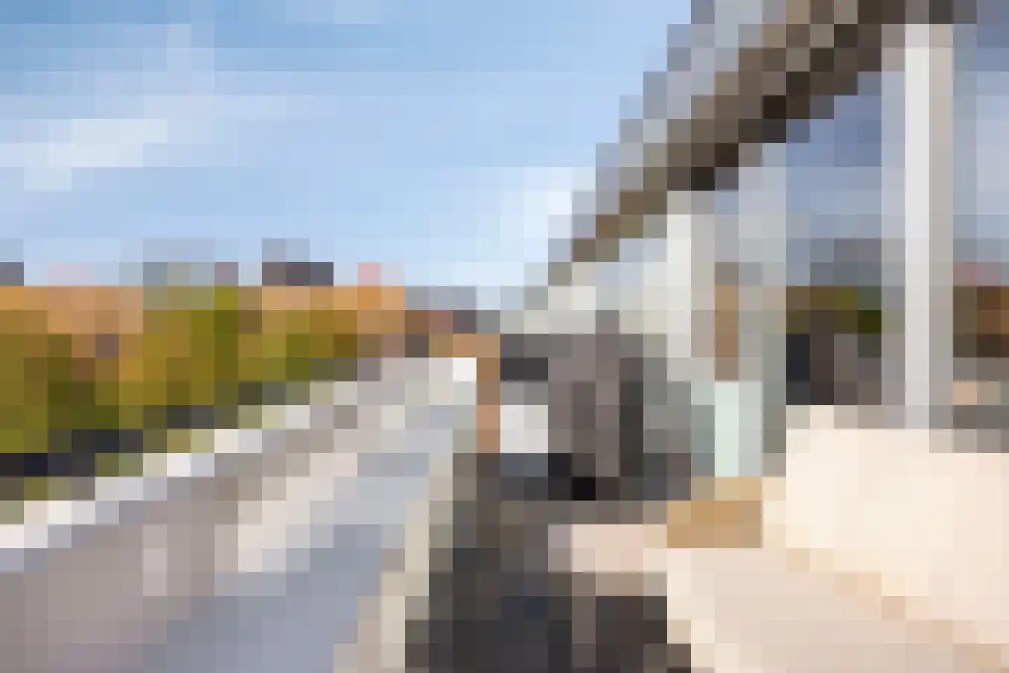 Vierwiekenplein 6 Oud-Beijerland thumbnail 30