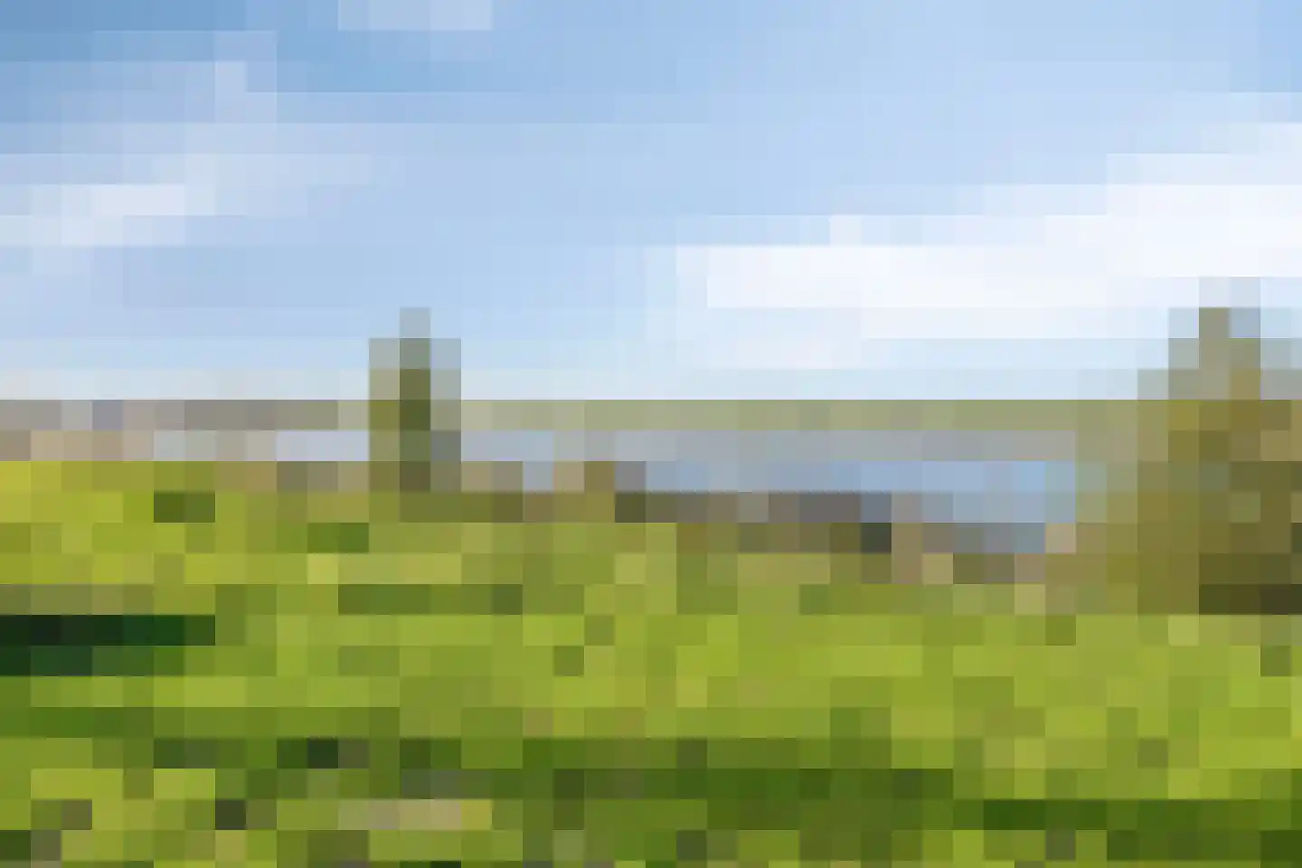 Vierwiekenplein 6 Oud-Beijerland thumbnail 37