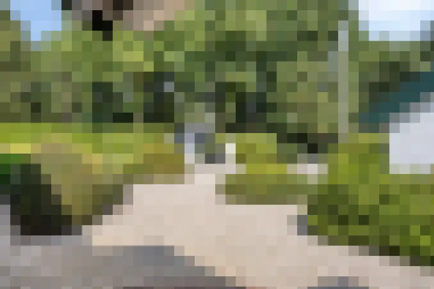 Vierwindenlaan 13 Oss thumbnail 12