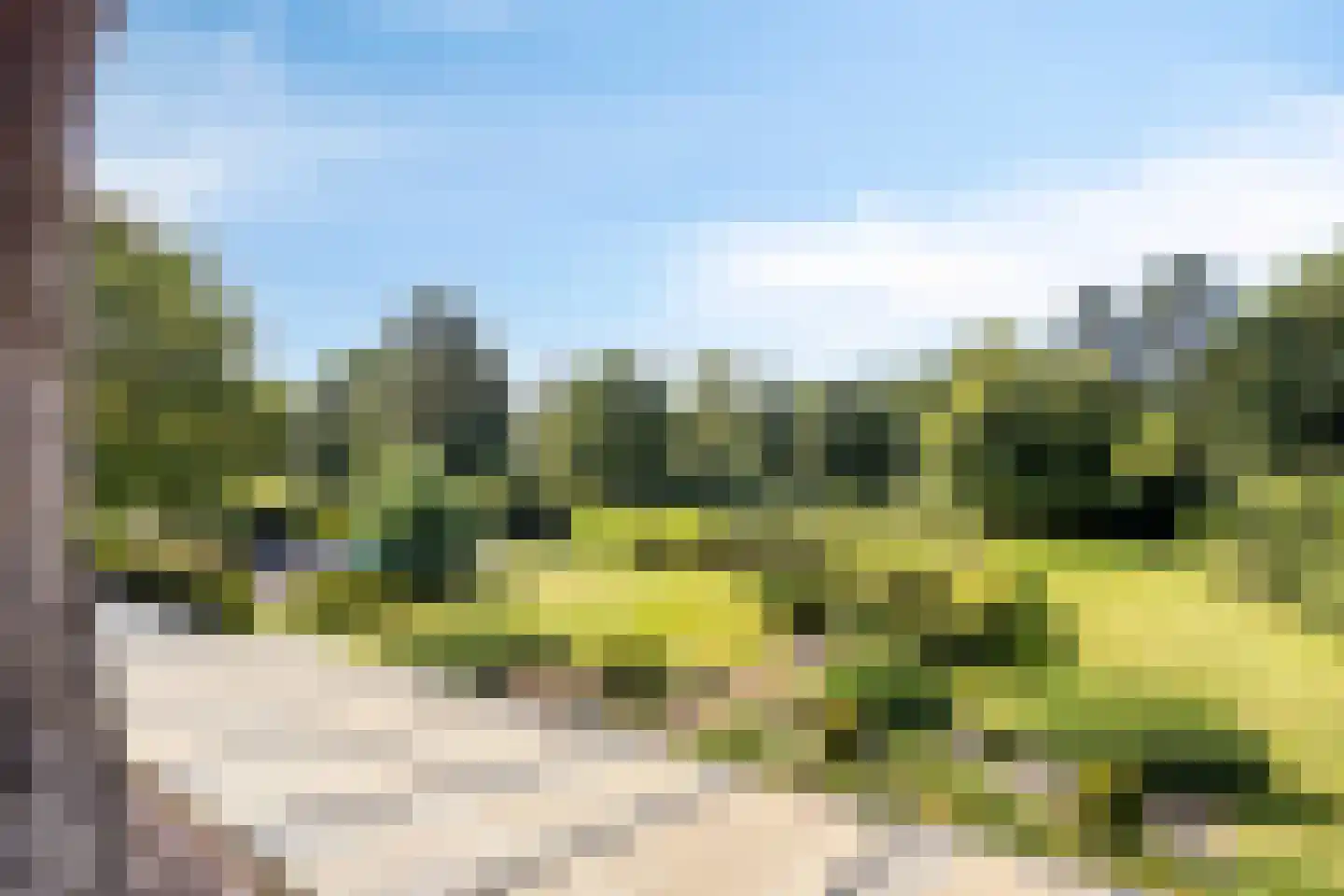 Vierwindenlaan 13 Oss thumbnail 16