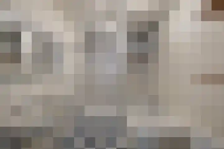 Vierwindenlaan 13 Oss foto 2