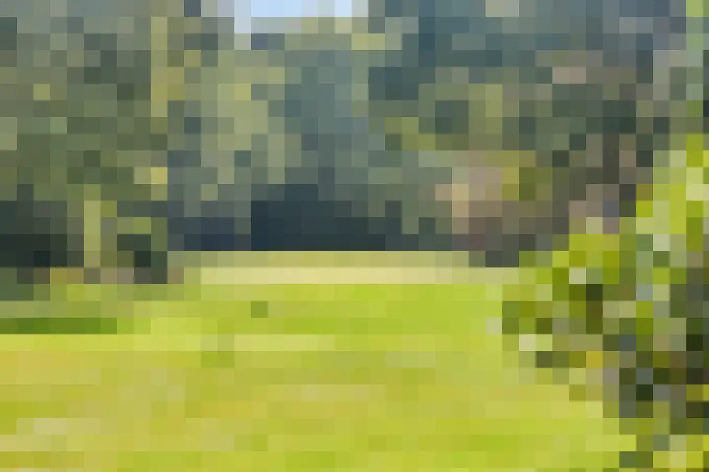 Vierwindenlaan 13 Oss thumbnail 21
