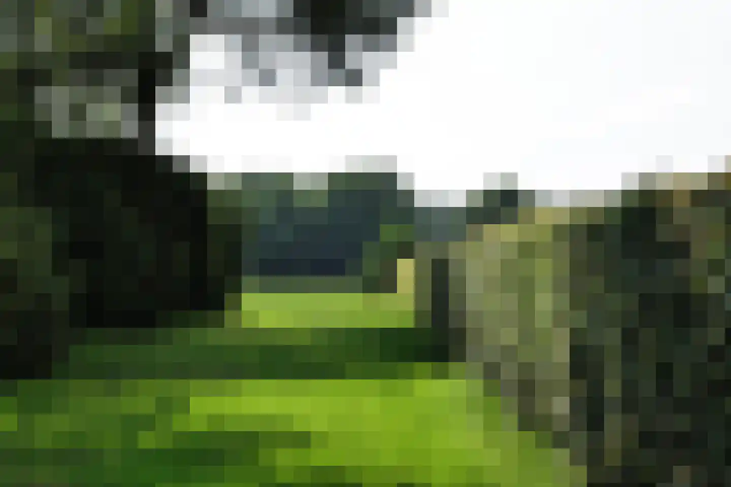 Vierwindenlaan 13 Oss thumbnail 22