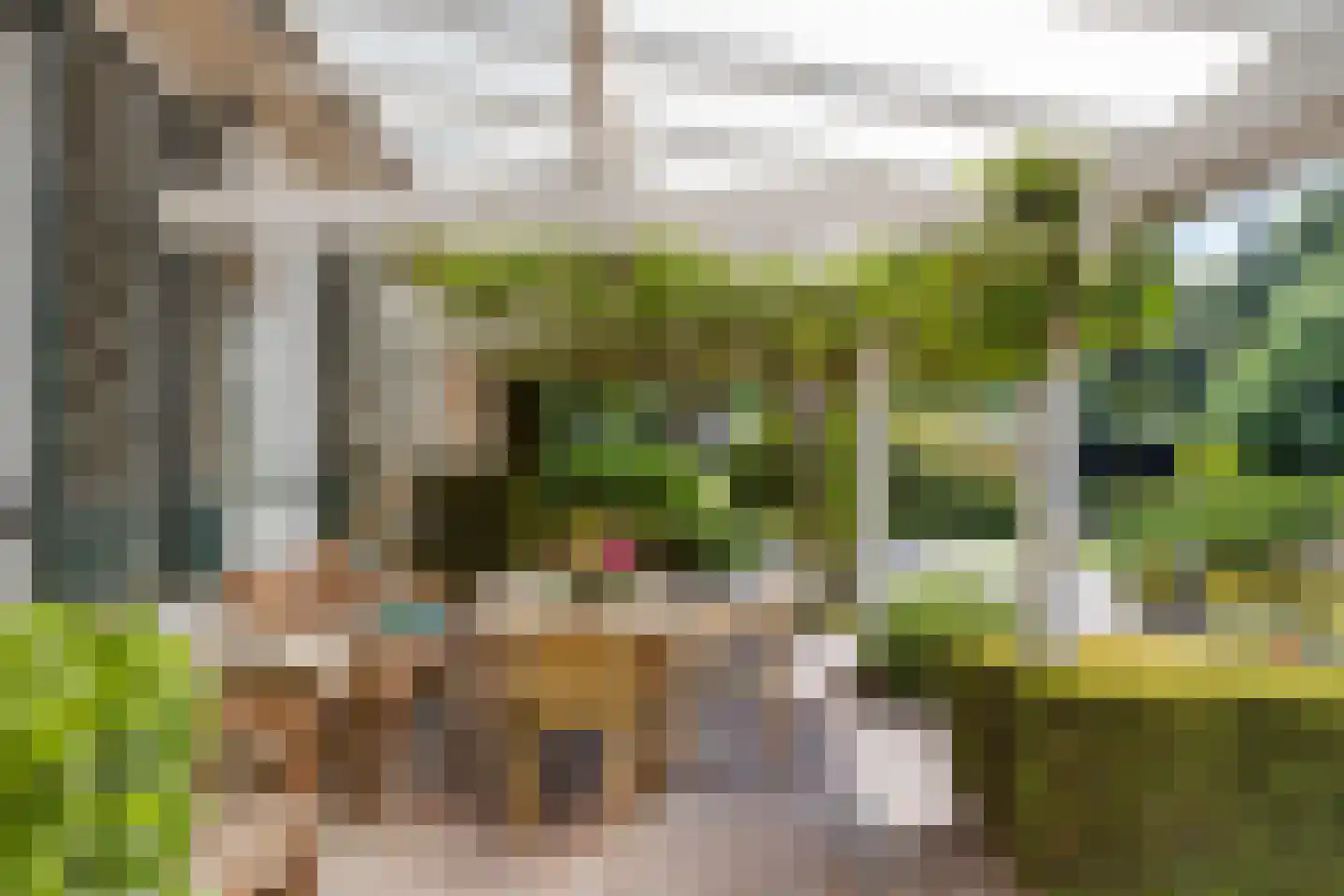 Vierwindenlaan 13 Oss thumbnail 26