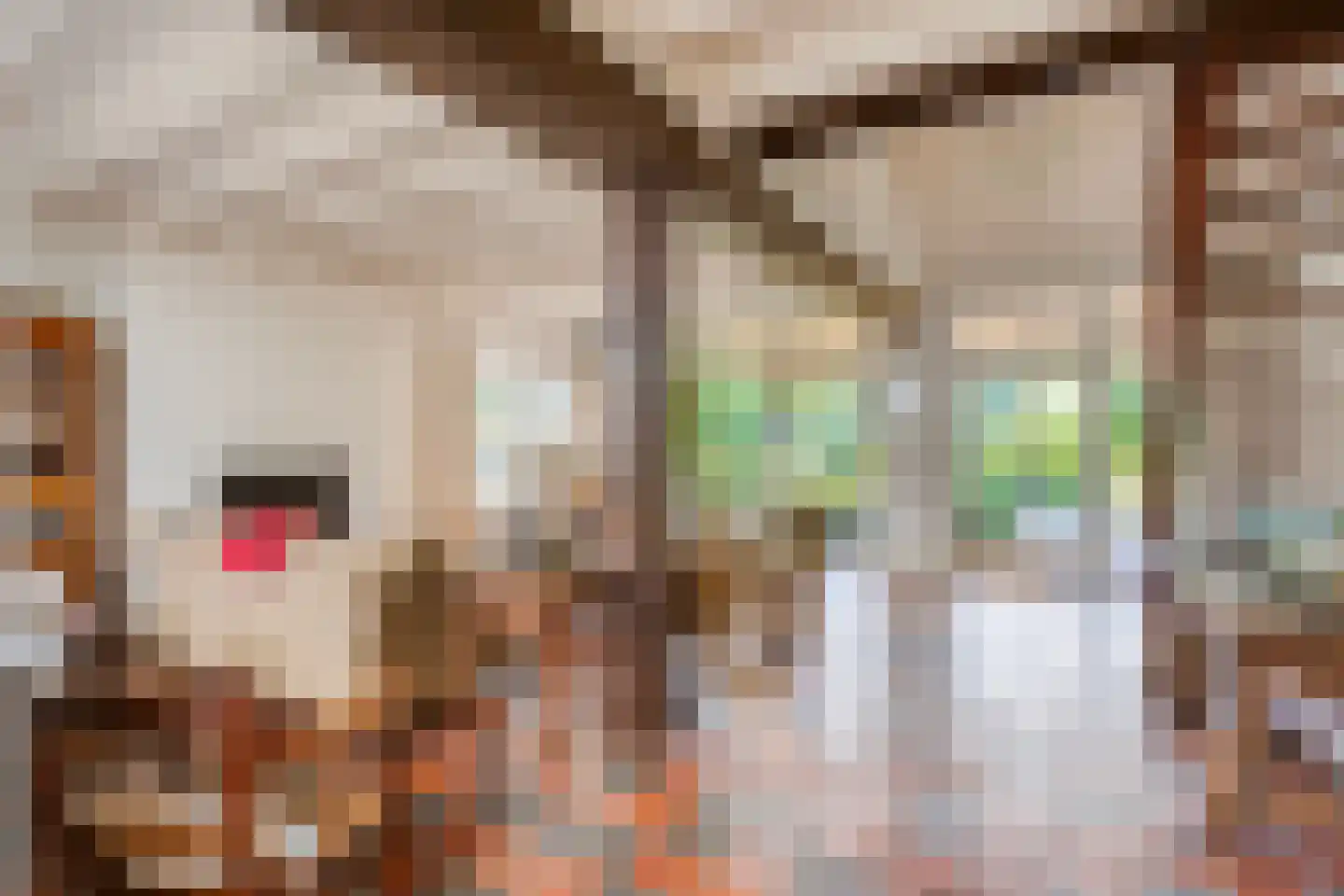 Vierwindenlaan 13 Oss thumbnail 29