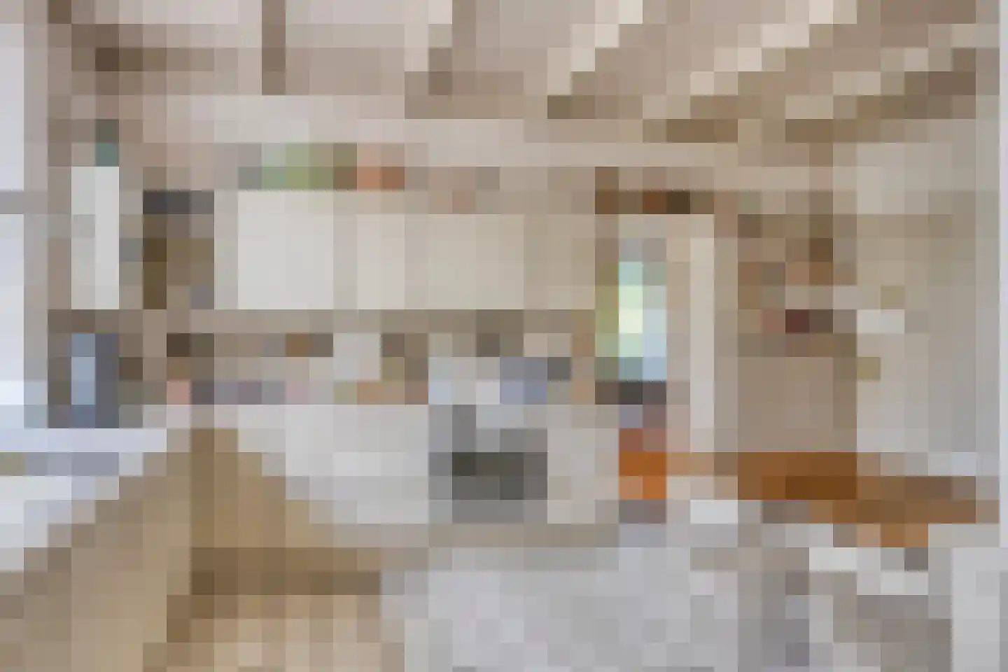 Vierwindenlaan 13 Oss thumbnail 32