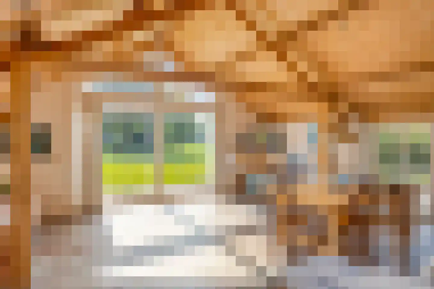 Vierwindenlaan 13 Oss thumbnail 33