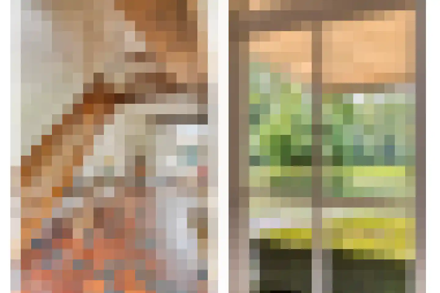 Vierwindenlaan 13 Oss thumbnail 34