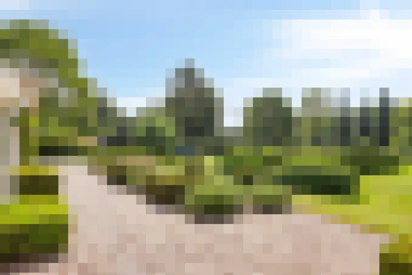 Vierwindenlaan 13 Oss thumbnail 36