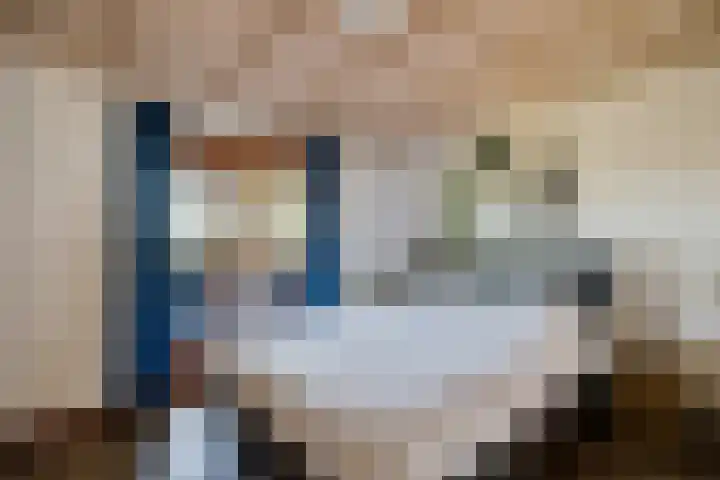 Vierwindenlaan 13 Oss thumbnail 39