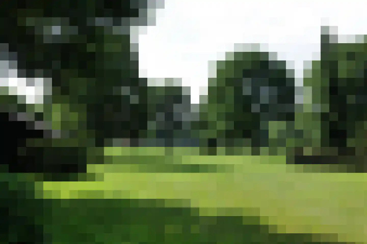 Vierwindenlaan 13 Oss thumbnail 4