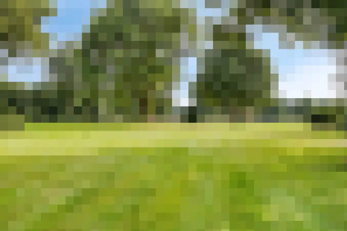 Vierwindenlaan 13 Oss thumbnail 47