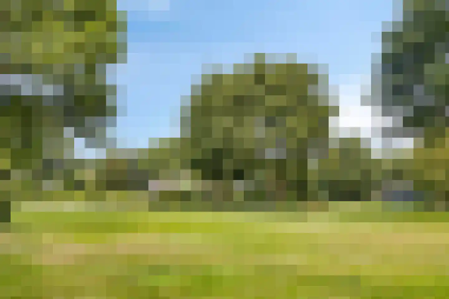 Vierwindenlaan 13 Oss thumbnail 48