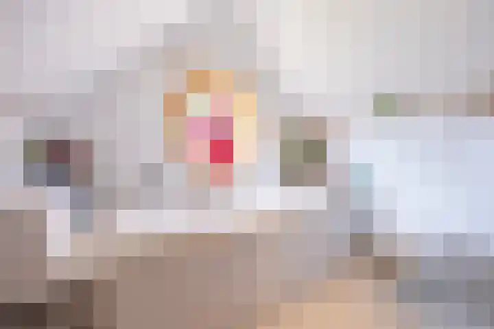 Vierwindenlaan 13 Oss thumbnail 50