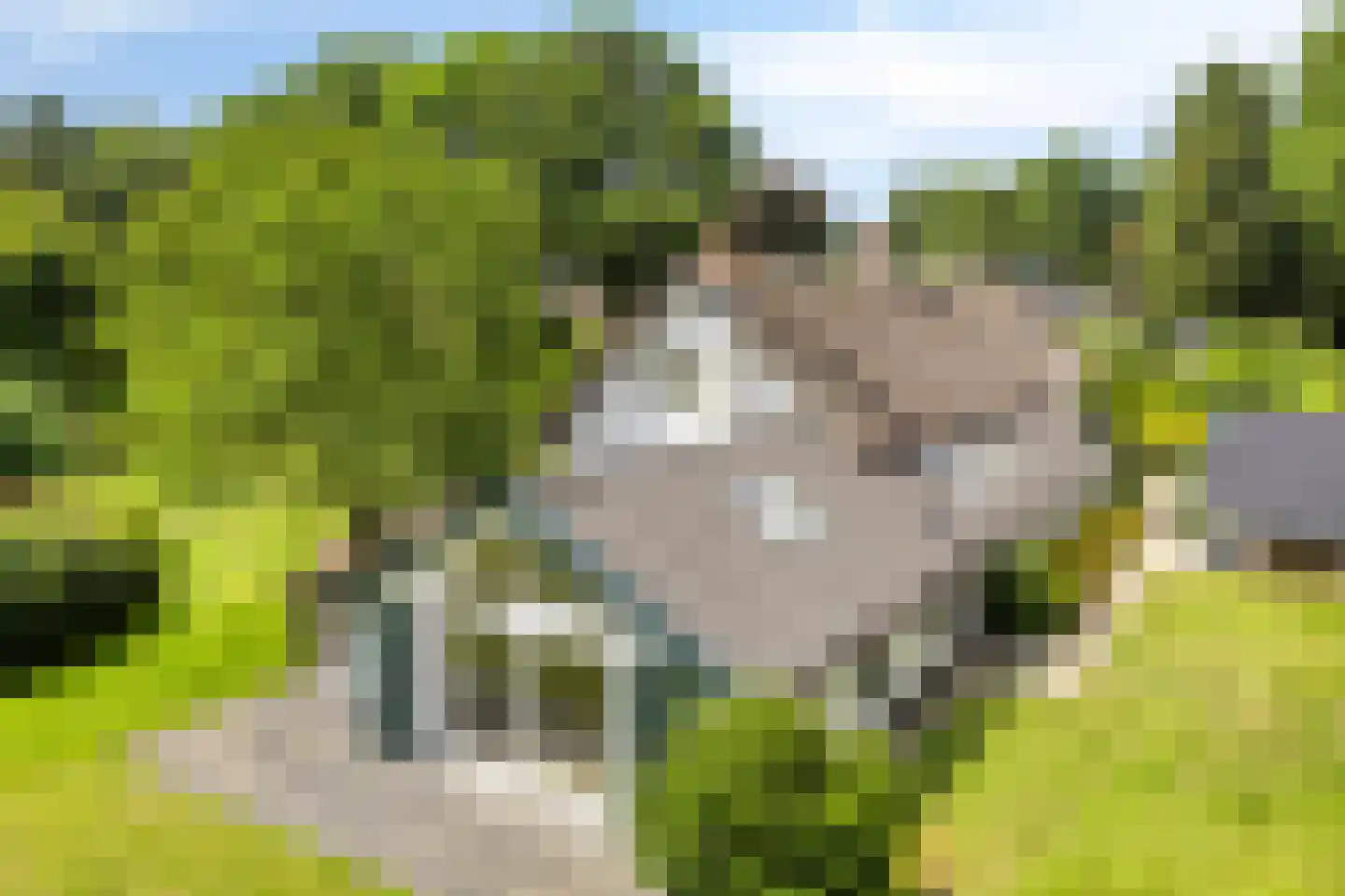 Vierwindenlaan 13 Oss thumbnail 53