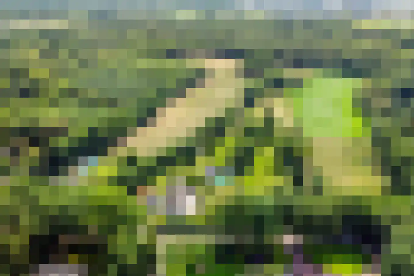 Vierwindenlaan 13 Oss thumbnail 59