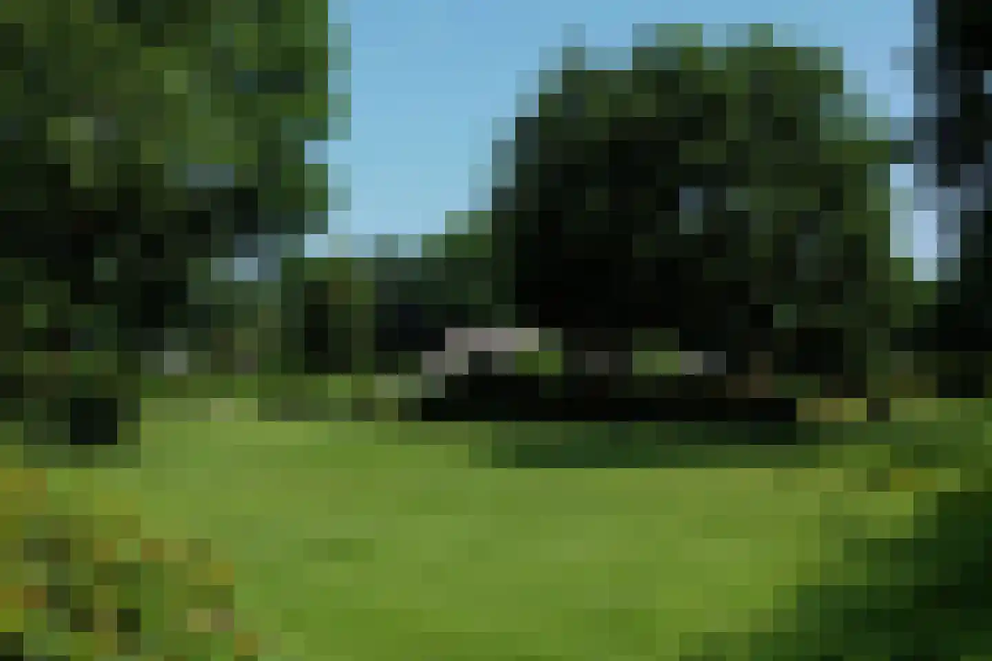 Vierwindenlaan 13 Oss thumbnail 6