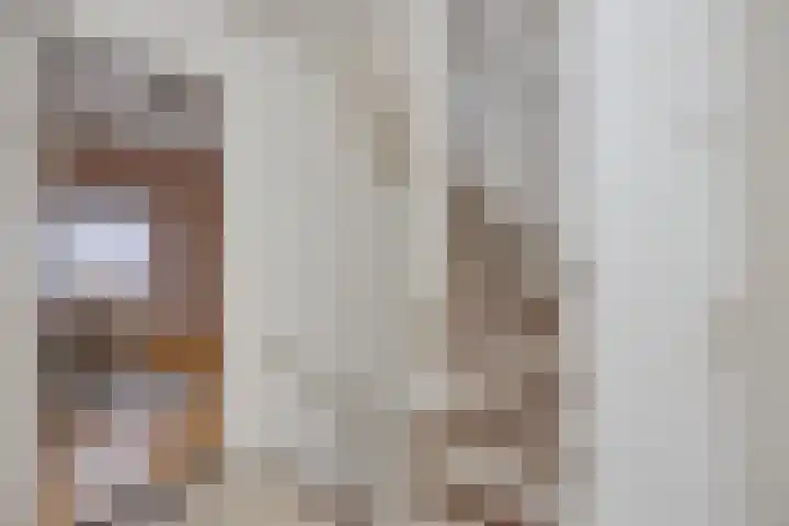 Vierwindenlaan 13 Oss thumbnail 60