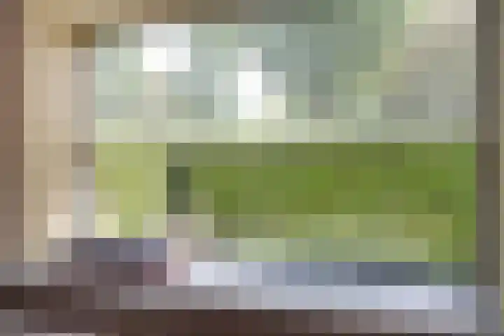 Vierwindenlaan 25 Tilburg thumbnail 13