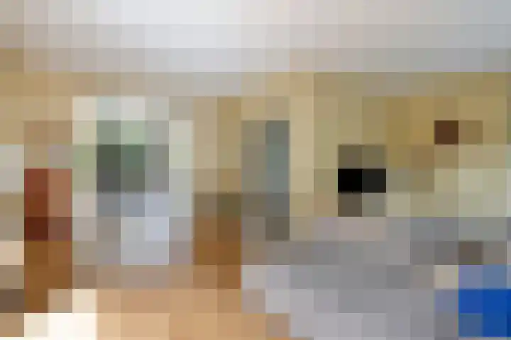 Vierwindenlaan 25 Tilburg thumbnail 14