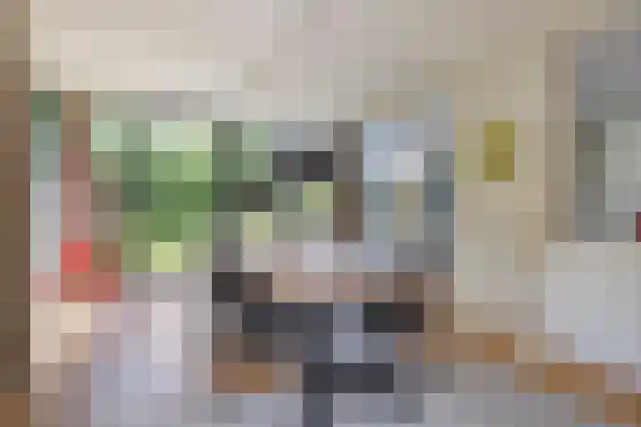 Vierwindenlaan 25 Tilburg thumbnail 18