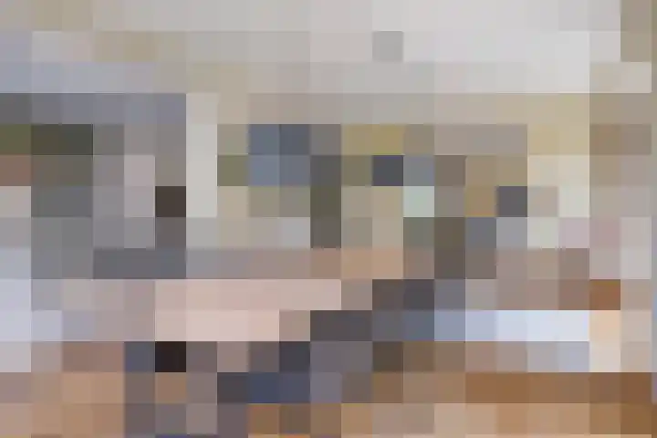 Vierwindenlaan 25 Tilburg thumbnail 20