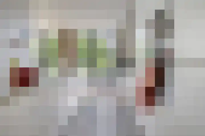 Vierwindenlaan 25 Tilburg thumbnail 26