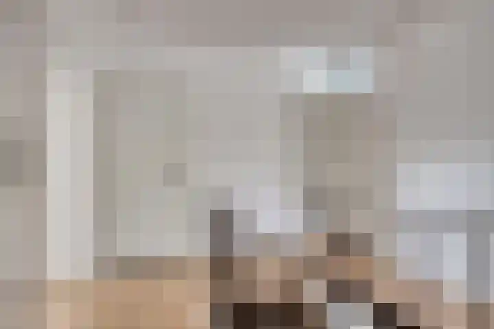 Vierwindenlaan 25 Tilburg thumbnail 36