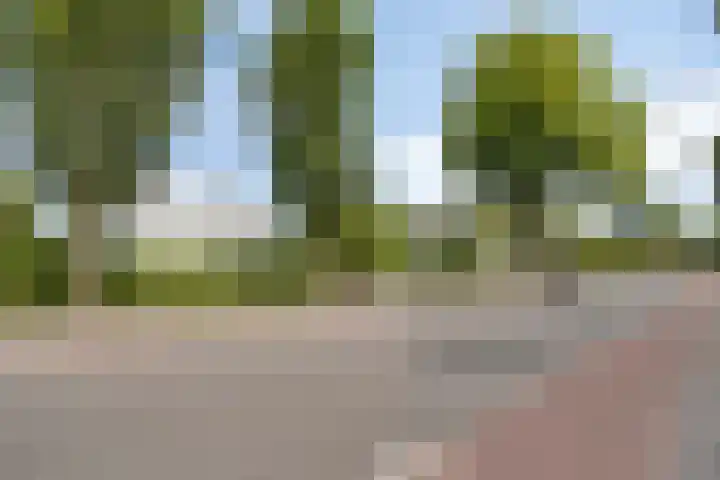 Vierwindenlaan 25 Tilburg thumbnail 4